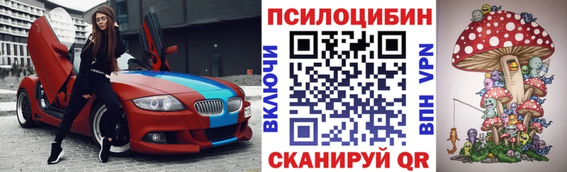 Псилоцибиновые грибы мицелий  Болохово 